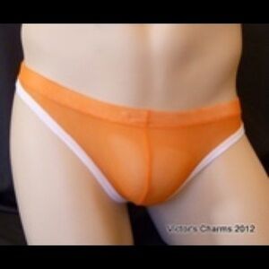 10/$40 Victor’s Charms/Intouch sexy cotton blend undies L